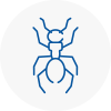 Ant Removals In Truro