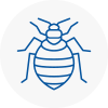 Bed Bug Extermination In Truro