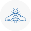 Bee Nest Removal Truro