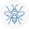 Truro Hornet Nest Removals