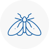 Moth Control Specialists In Truro