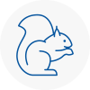 Truro Rodent Removals