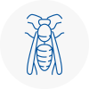 Truro Wasp Nest Removal